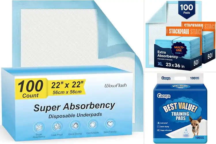 Detailed view of Best 100 Count Pads: Top Picks for a Clean, Dry Home
