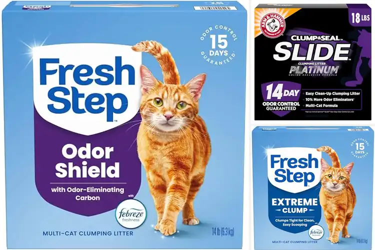 Detailed view of Best 14-Day Odor Control Cat Litter