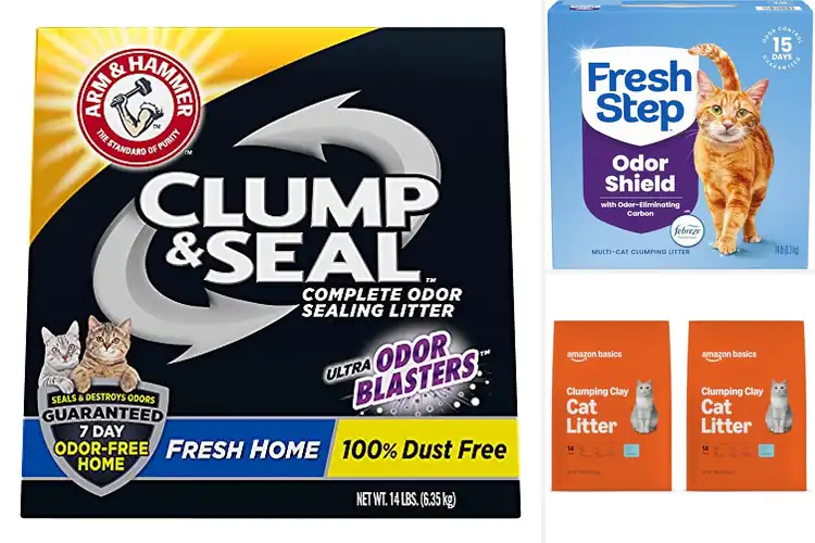 Detailed view of Best 14-lb Clumping Cat Litters for a Fresh, Happy Home