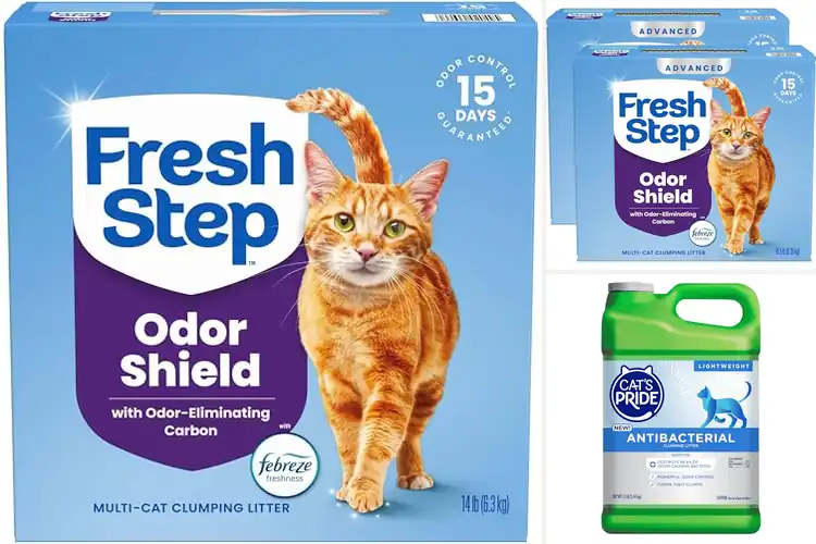 Detailed view of Best 15 Day Odor Control Cat Litter