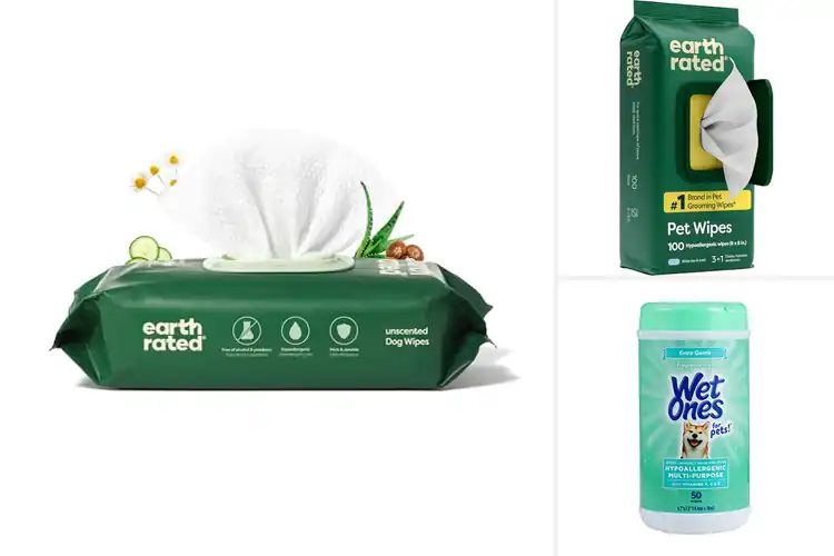 Detailed view of Best 3-In-1 Pet Cleaning Wipes