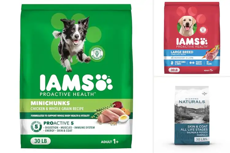 Detailed view of Best 30 Lb Dry Dog Foods: Top 10 Healthy Picks for Your Pup