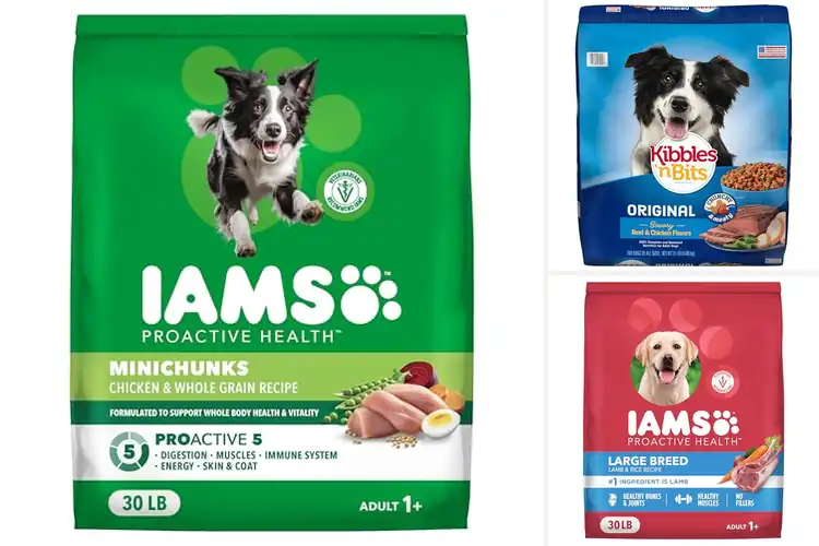 Detailed view of Best 30Lb Bag Dry Dog Food: Top Picks for Your Dog’s Health