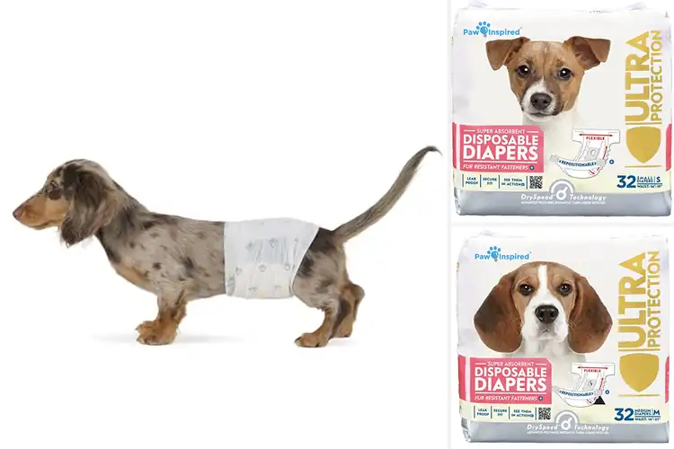 Detailed view of Best Absorbent Dog Diapers for Clean, Stress‑Free Living