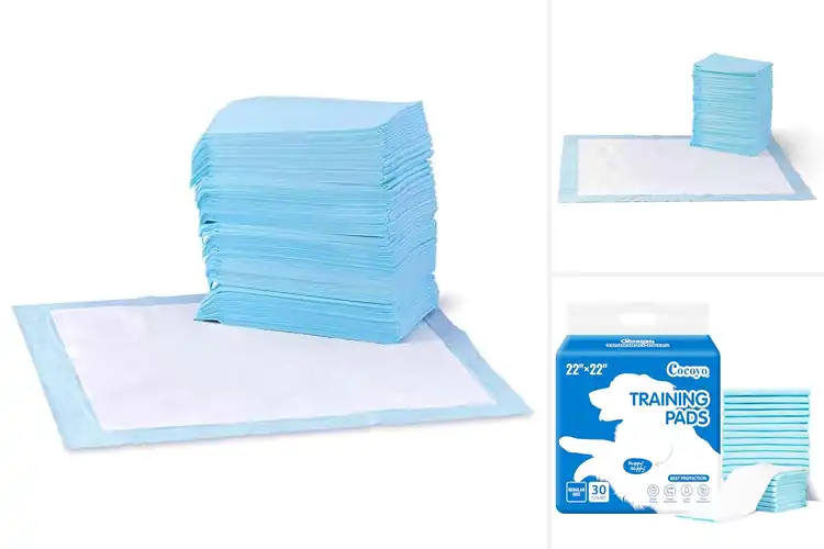 Detailed view of Best Absorbent Puppy Pads