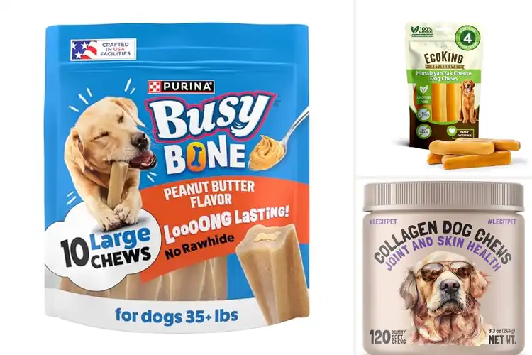 Detailed view of Best Adult Dog Chews For Large Breeds