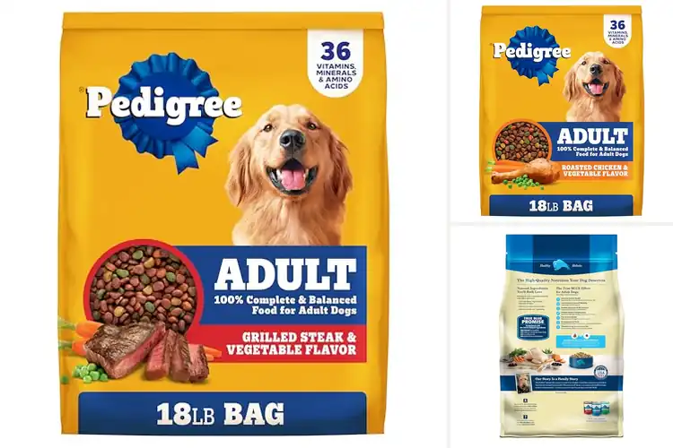 Detailed view of Best Adult Dog Foods for a Healthy and Happy Pup