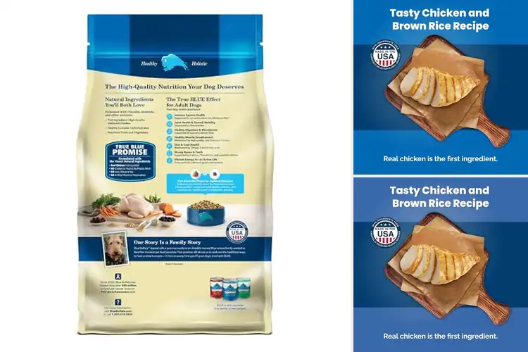 Detailed view of Best Adult Dog Formula: Top Picks for a Healthy, Happy Pup