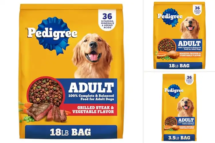Detailed view of Best Adult Dry Dog Foods: Top Picks for a Healthy, Happy Pup