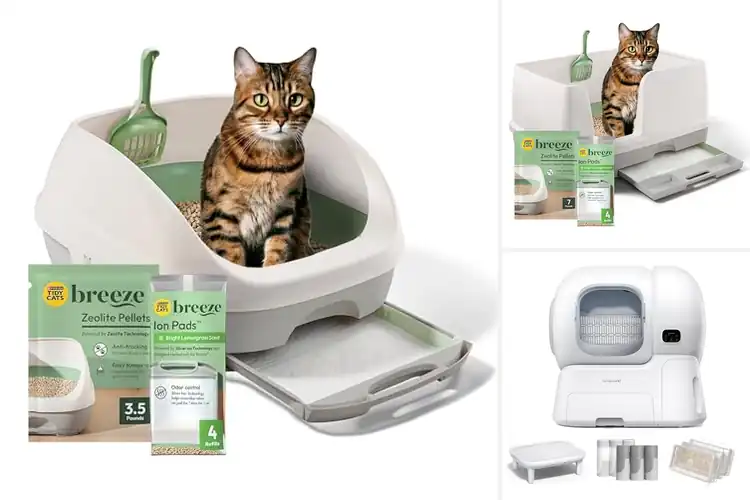 Detailed view of Best All In One Litter System
