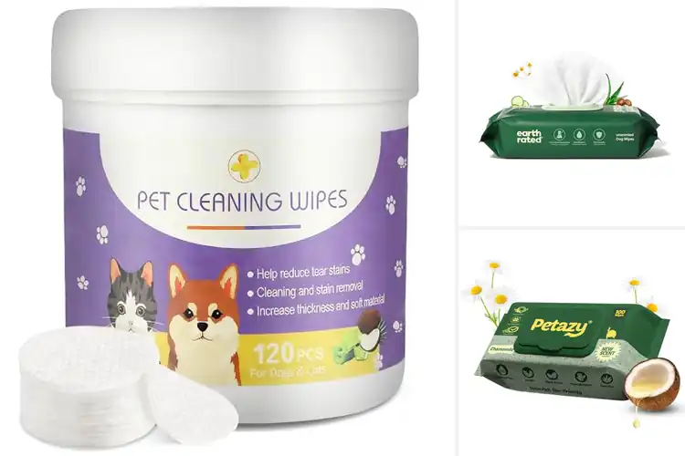 Detailed view of Best Aloe And Chamomile Pet Wipe Formula