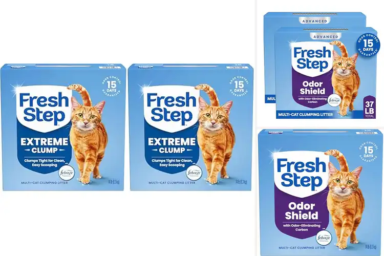 Detailed view of Best Ammonia Block Cat Litters: 10 Fresh Home Solutions