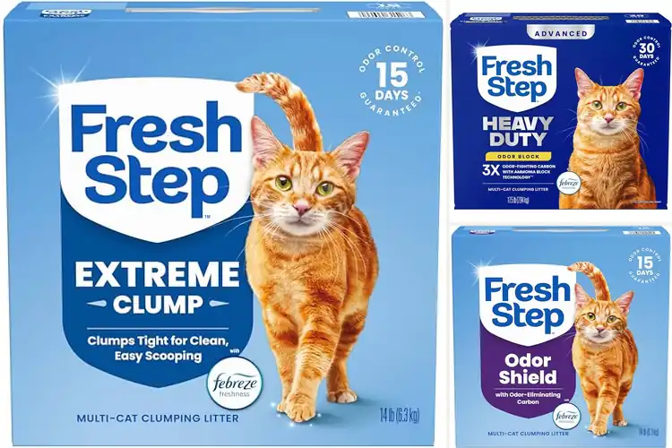 Detailed view of Best Ammonia Blocking Cat Litters