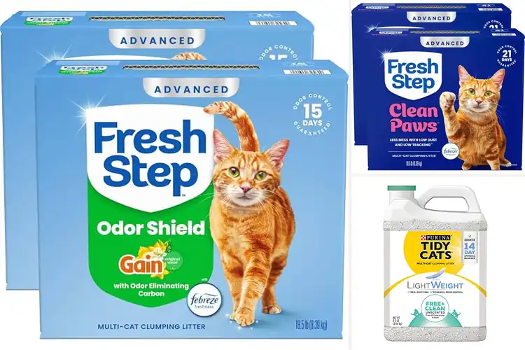 Detailed view of Best Ammonia Blocking Litters: Top 10 Picks for a Fresh Home