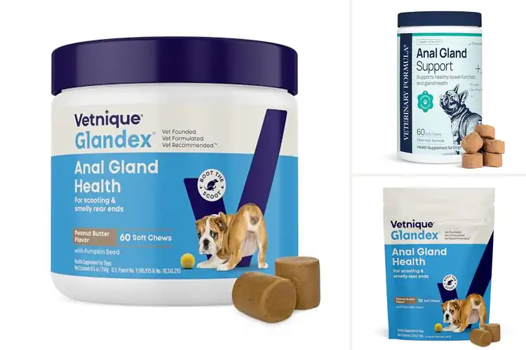 Detailed view of Best Anal Gland Support For Dogs