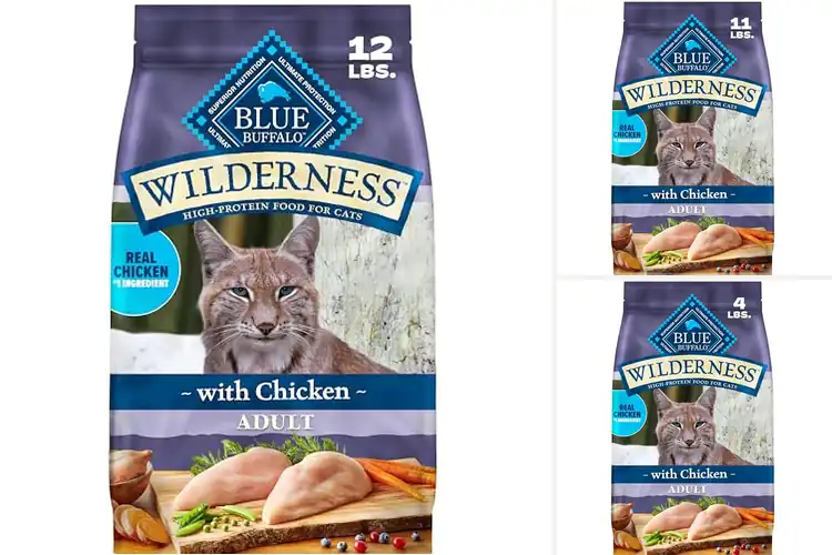 Detailed view of Best Antioxidant Cat Foods For Immunity