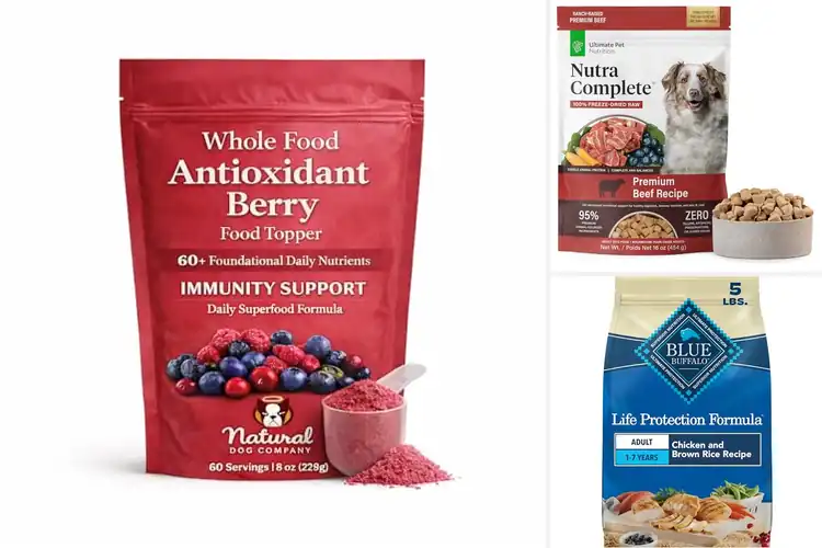 Detailed view of Best Antioxidant Dog Foods for Vibrant Canine Health