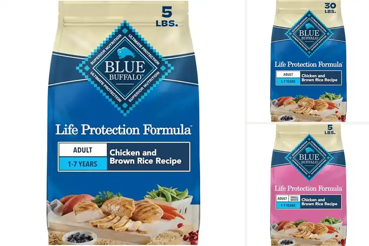 Detailed view of Best Antioxidant-Rich Dog Foods