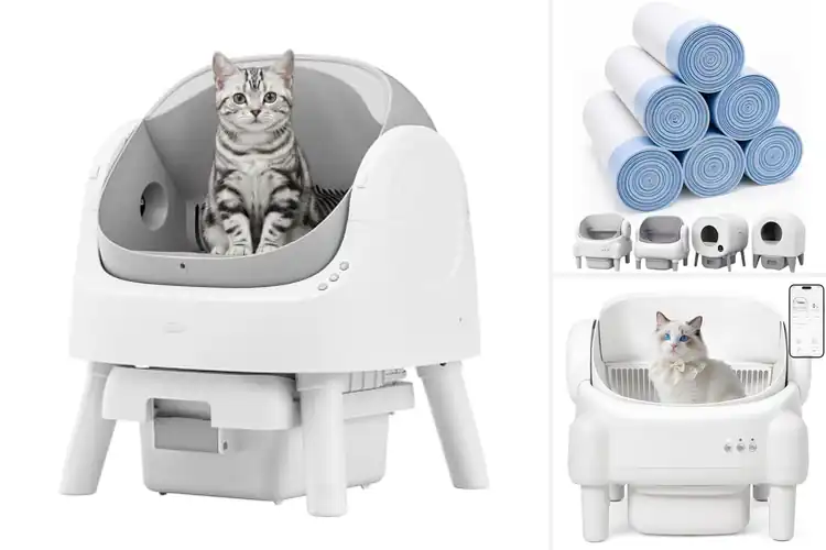 Detailed view of Best Automatic Box Compatible Litters