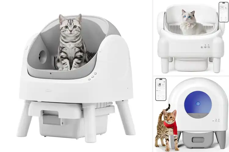 Detailed view of Best Automatic‑Box Litters: Top Picks for a Cleaner Home