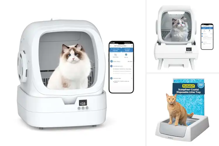 Detailed view of Best Automatic Litter Box Cat Litters