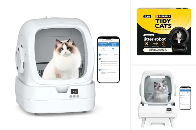 Detailed view of Best Automatic Litter Box Litters