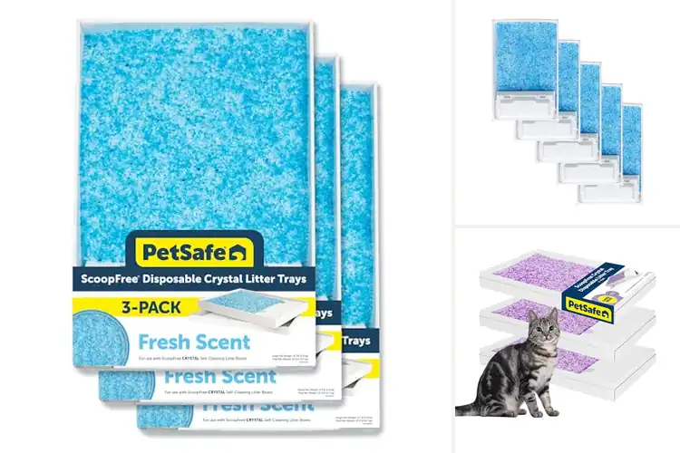 Detailed view of Best Automatic Litter Box Refills
