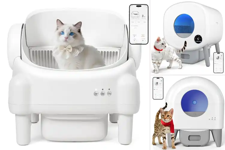 Detailed view of Best Automatic Litter Litters for a Cleaner Cat Routine