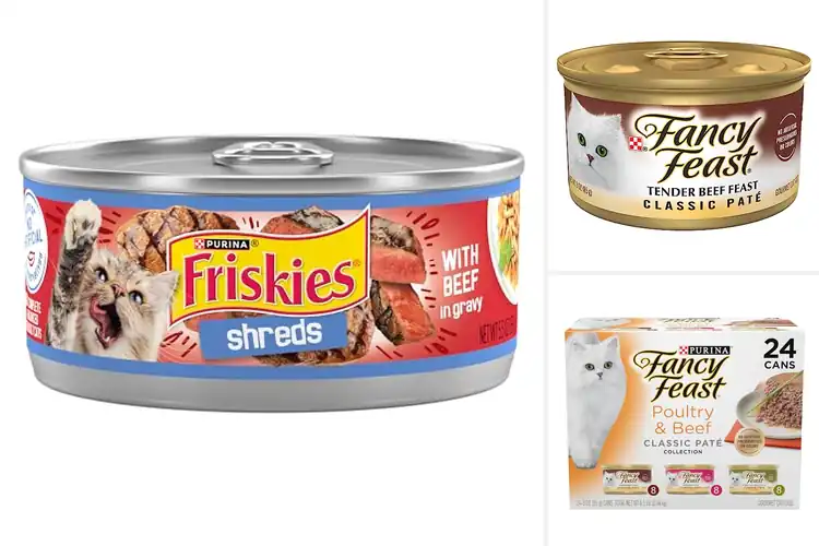 Detailed view of Best Beef Cat Foods