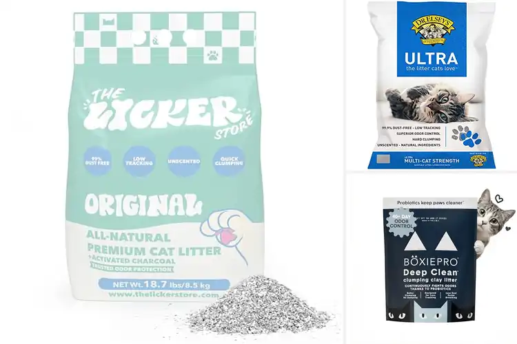 Detailed view of Best Bentonite Clay Litter