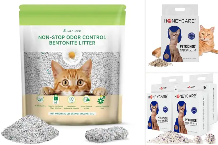 Detailed view of Best Bentonite Litter Clumps