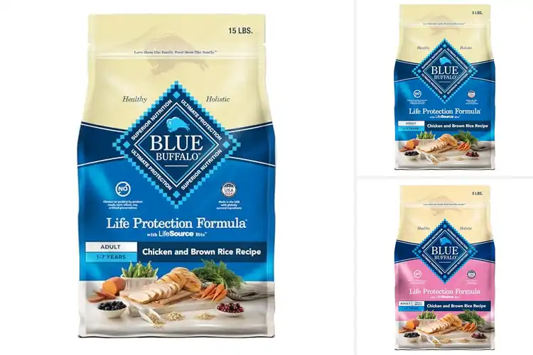 Detailed view of Best Blue Buffalo Dog Food