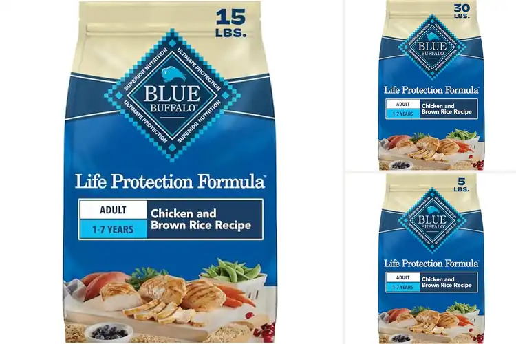 Detailed view of Best Blue Buffalo Dog Foods