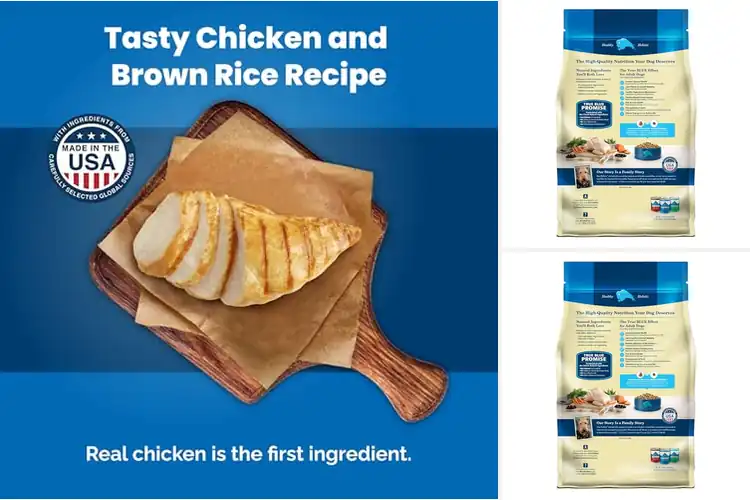 Detailed view of Best Blue Buffalo Life Protection Formula