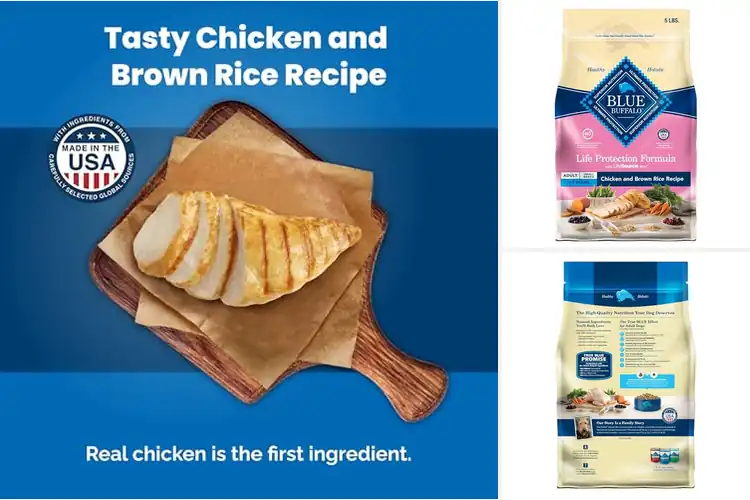 Detailed view of Best Blue Life Protection