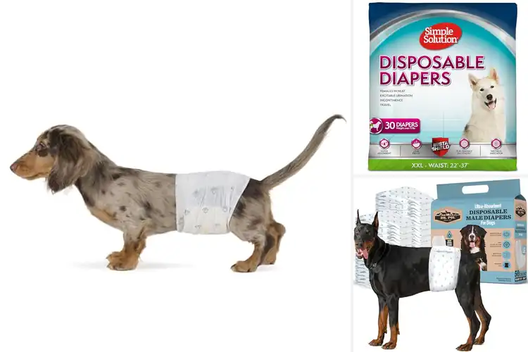 Detailed view of Best Breathable Dog Diapers for Comfort & Dryness