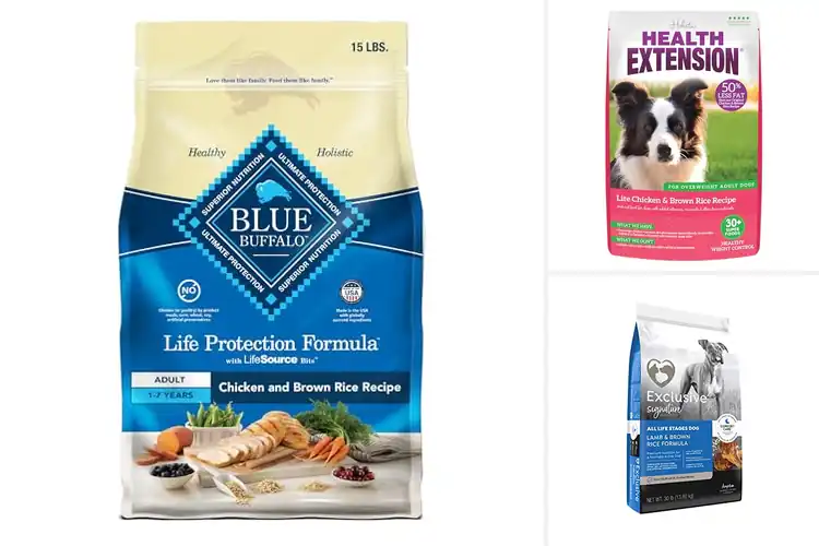 Detailed view of Best Brown Rice And Cranberries For Dogs