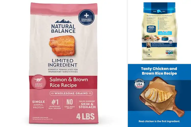 Detailed view of Best Brown Rice Dog Foods