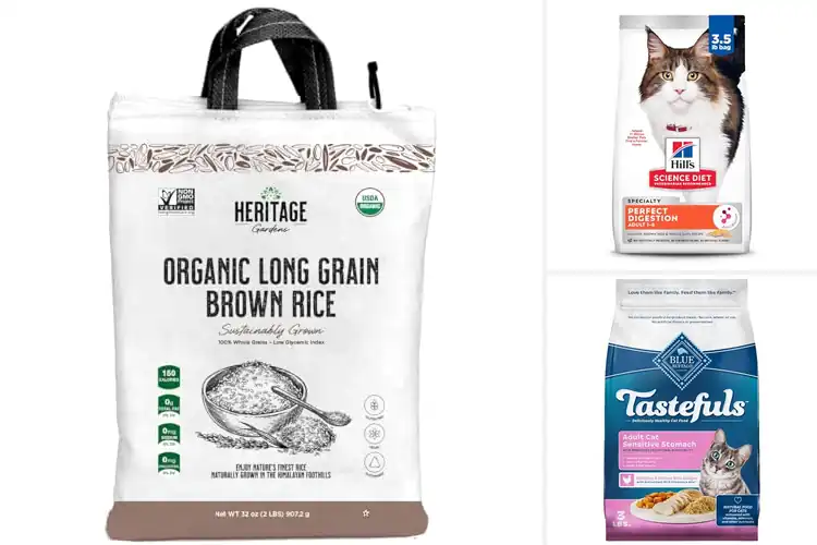 Detailed view of Best Brown Rice Fiber Healthy Digestion