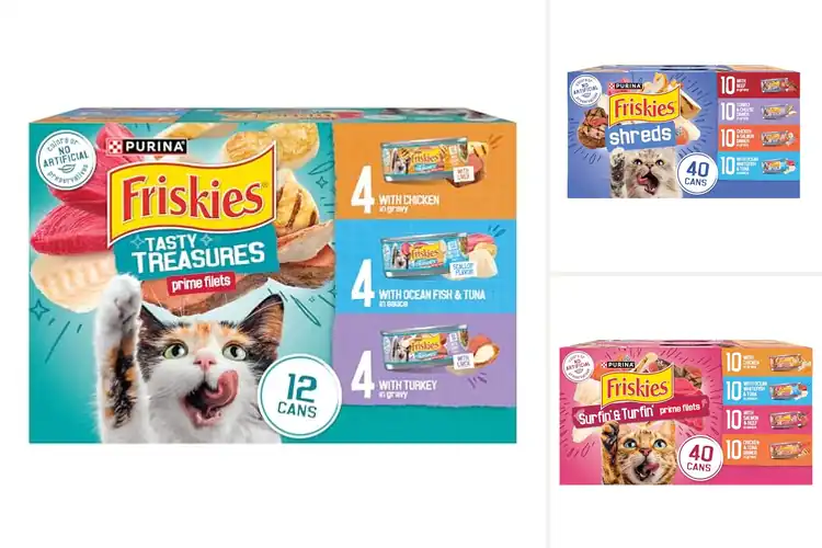 Detailed view of Best Canned Cat Food Pack
