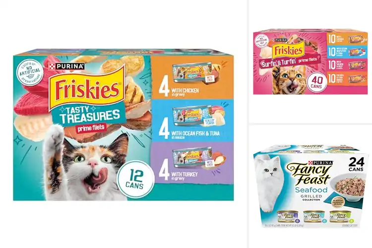 Detailed view of Best Canned Cat Foods