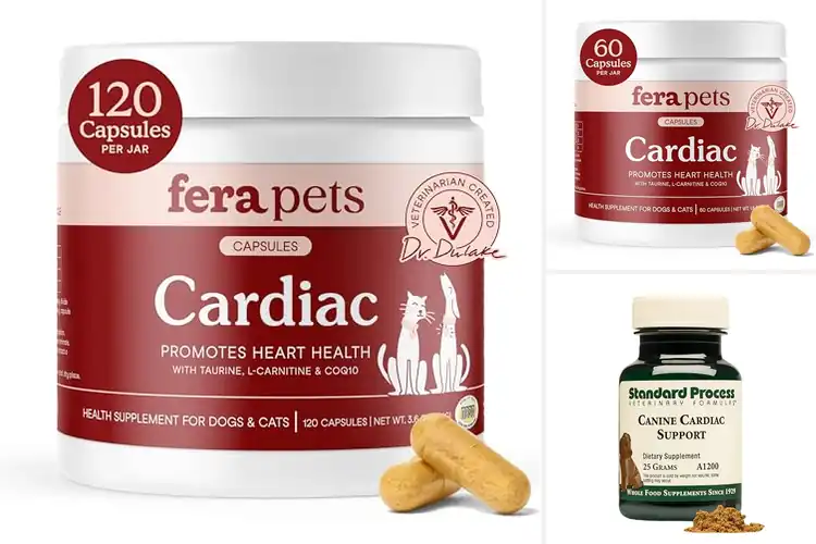 Detailed view of Best Cardiac Support: Top Picks for Heart Health Boost