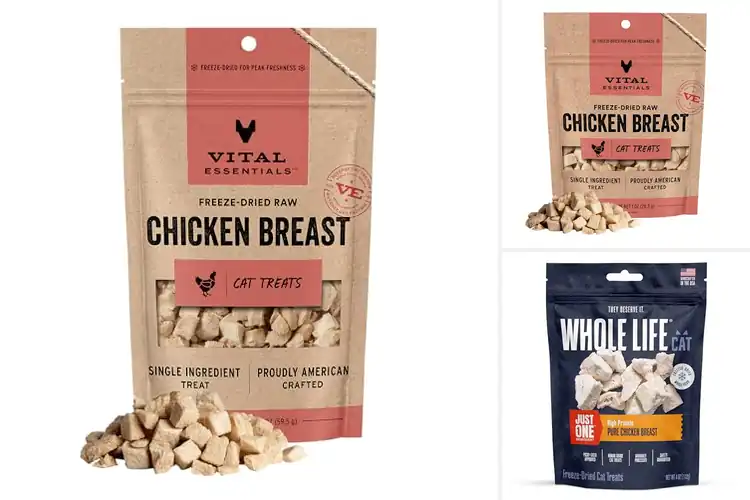 Detailed view of Best Cat Chicken Treats: Tasty, Nutritious, and Safe Options