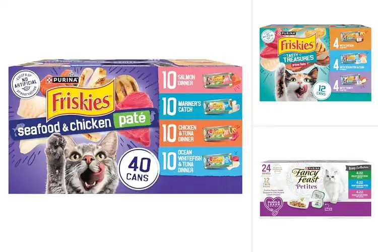 Detailed view of Best Cat Food Variety Packs
