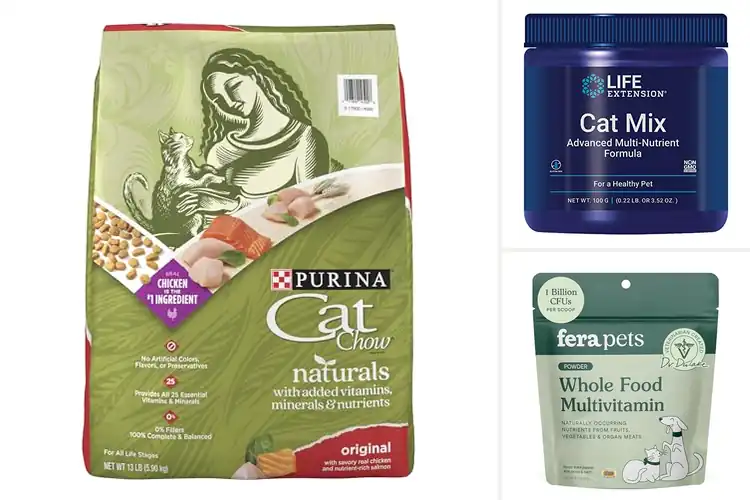 Detailed view of Best Cat Food With Essential Vitamins