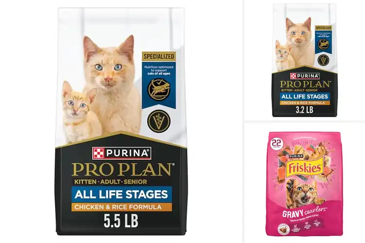 Detailed view of Best Cat Foods For All Life Stages