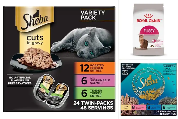 Detailed view of Best Cat Foods For Picky Eaters