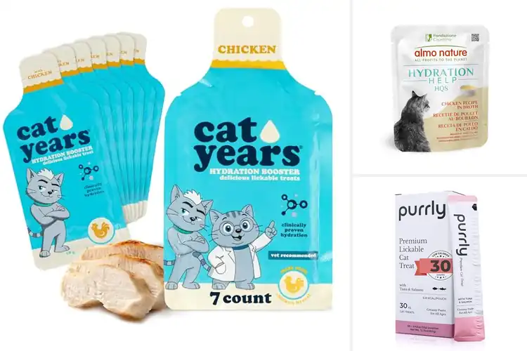 Detailed view of Best Cat Hydration Tubs