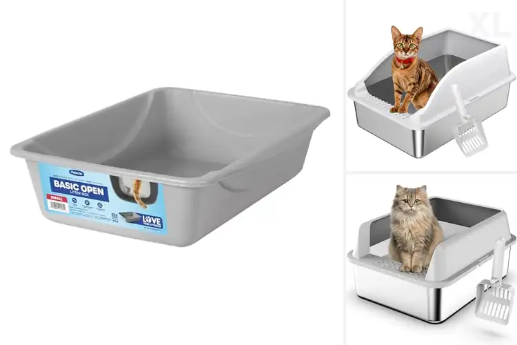 Detailed view of Best Cat Litter Boxes: Top Picks for a Stress-Free Cleanup