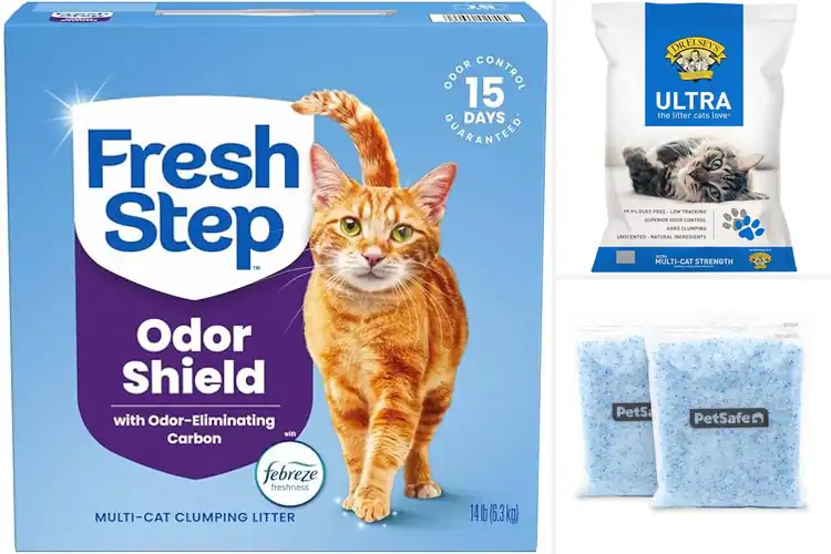 Detailed view of Best Cat Litter Brands